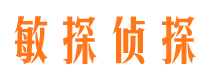 三门峡市私家侦探